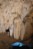 Olbrzymie stalaktyty