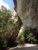 trackie sanktuarium w jaskini Golama Pesztera