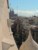 widok na ulicÄ Provenca, w gĹÄbi Sagrada Familia