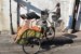 eko transport