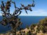 fotki jezioro titicaca - malowniczy widok na jezioro Titicaca