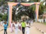 Udekorowana flagami aleja prowadząca do Sri Maha Bodhi