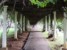 Pergola prowadząca do ogrodu orchidei