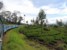 Region Nuwara Eliya