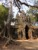 Brama PĂłĹnocna Angkor Thom